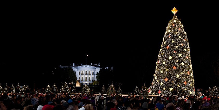 the national christmas tree lighting 2013 wisconsin the national christmas tree lighting 2013 wisconsin