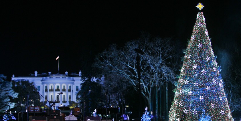 the national christmas tree lighting 2015 wisconsin the national christmas tree lighting 2015 wisconsin