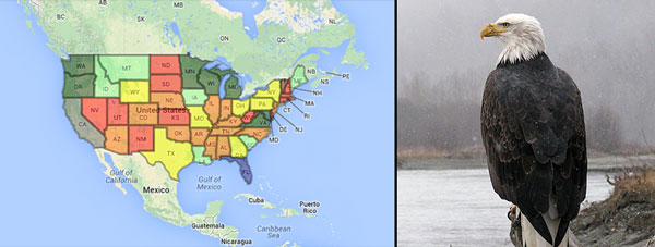 Map of U.S. Bald Eagle Population