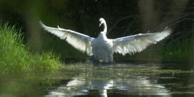 Land Trust Stories, An In Wisconsin Special