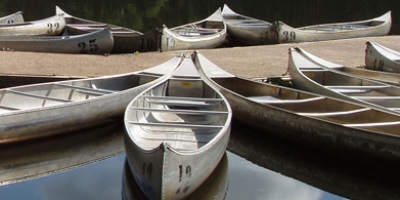 The Summer of a Lifetime