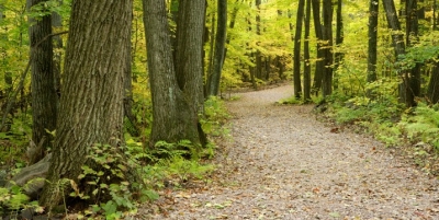 On the Trail, An In Wisconsin Special