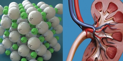 Fundamentals of Chemistry