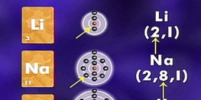 Science Key Concepts