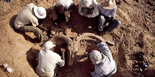 Bones of Turkana