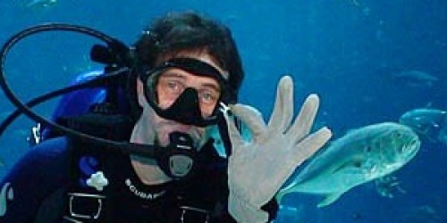 Jonathan Bird's Blue World