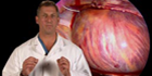 Miracle of the Human Body