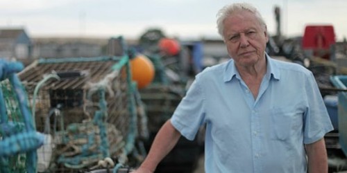 Horizon: Death of the Oceans?