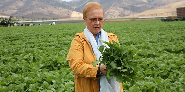 Lidia's Italy in America