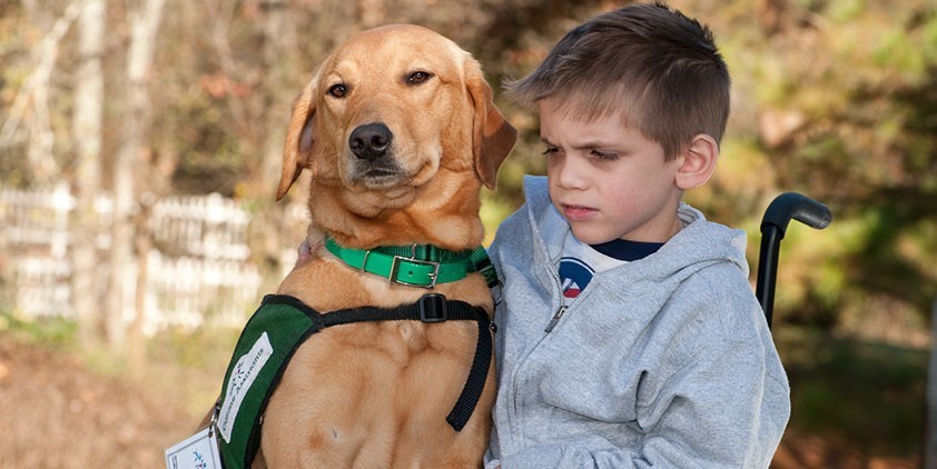 Through a Dog's Eyes