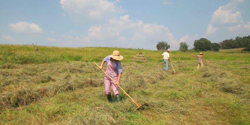 Switchel Brew Got the Scything Crew