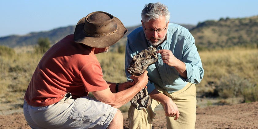 Your Inner Fish-Your Inner Reptile