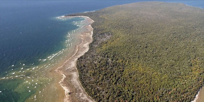 A Curious Collection