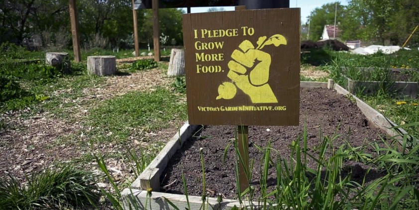 The Victory Garden Initiative