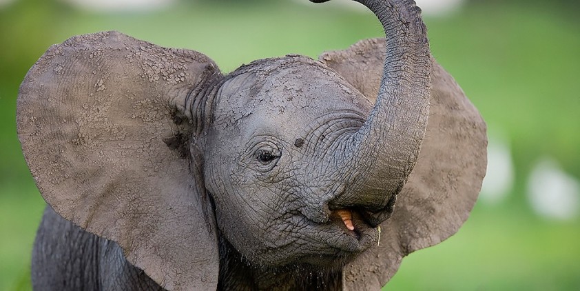 PBS Previews: The Best of Fall 2015