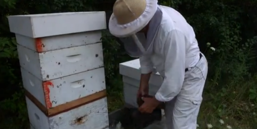 Honey Valley Apiary | Michael Fields Agriculture