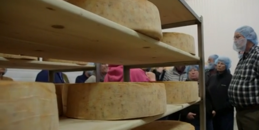 Gordon Edgar Cheddar Tour | Hook's 20-Year Dinner