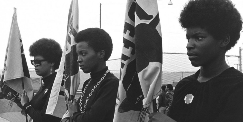 The Black Panthers: Vanguard of the Revolution