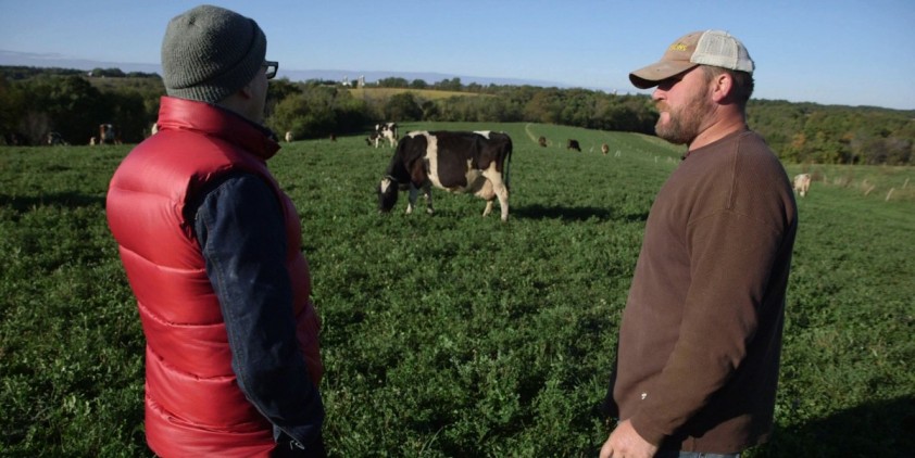 Kickapoo Country Fair | Organic Valley Family