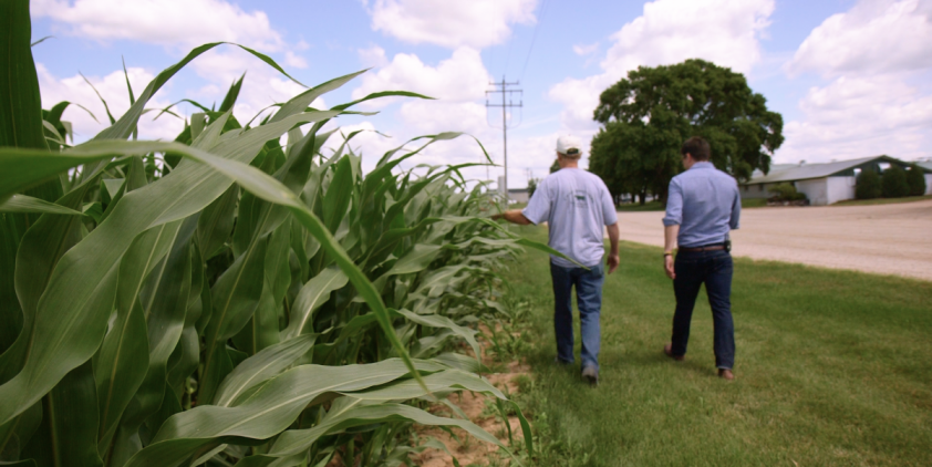 Crave Brothers Dairy